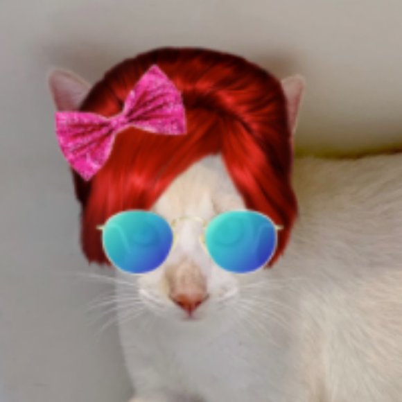 Meet your Posher, Aidan - Picture 1 of 3